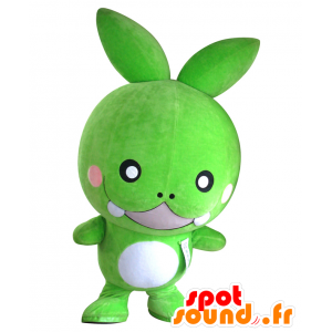 Mascot Sasadangon, vihreä hirviö, pörröinen, hauska, karvainen - MASFR26473 - Mascottes Yuru-Chara Japonaises