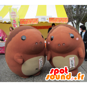 Las mascotas de Toba y Topati, dos erizos Brown - MASFR26546 - Yuru-Chara mascotas japonesas