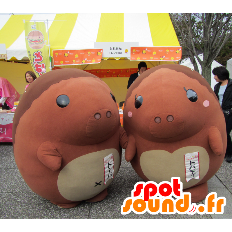 Mascots of Toba and Topati, two hedgehogs Brown - MASFR26546 - Yuru-Chara Japanese mascots