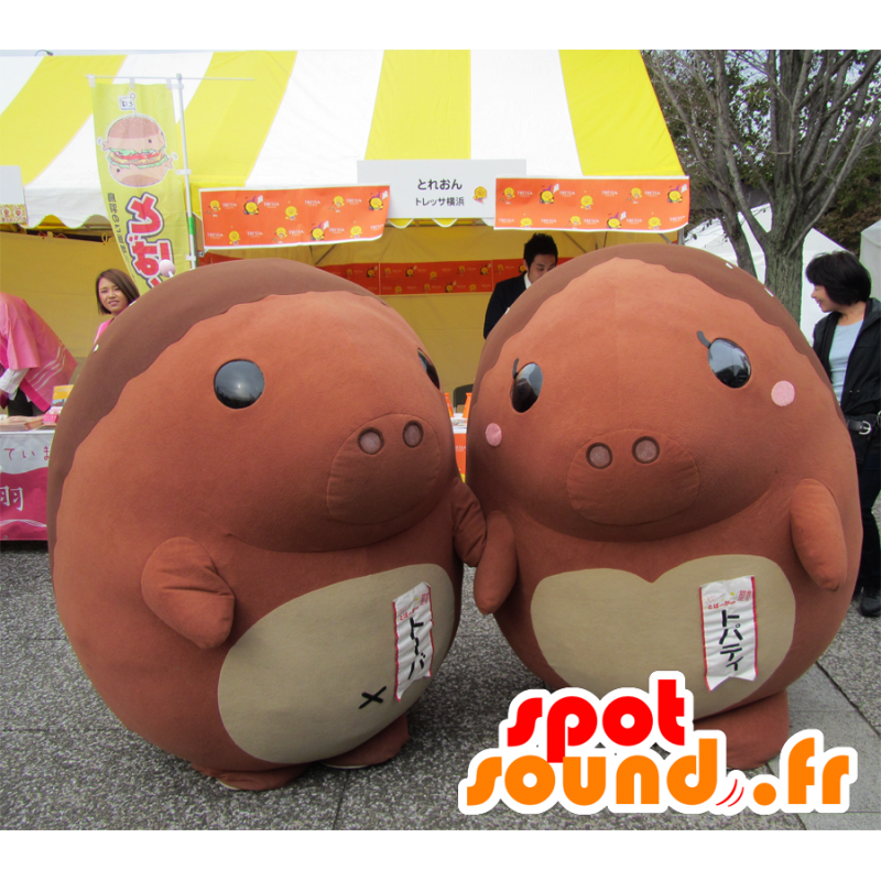 Maskottchen von Toba und Topati zwei Igel Brown - MASFR26546 - Yuru-Chara japanischen Maskottchen
