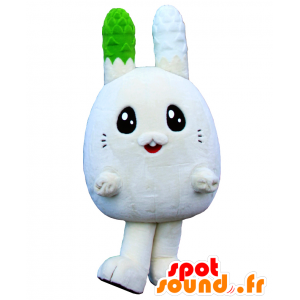 Mascot Usapara kun, white rabbit with big ears - MASFR26552 - Yuru-Chara Japanese mascots