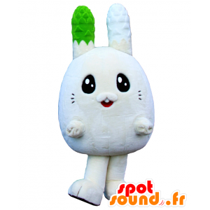 Mascot Usapara kun, coelho branco com orelhas grandes - MASFR26552 - Yuru-Chara Mascotes japoneses