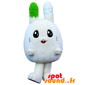 Mascotte d'Usapara kun, de lapin blanc, avec de grandes oreilles - MASFR26552 - Mascottes Yuru-Chara Japonaises