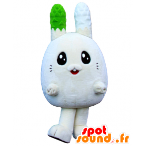 Mascot af Usapara kun, hvid kanin, med store ører - Spotsound