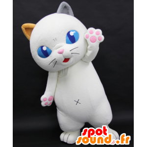 Mascot Tama Yoshiko, white cat with blue eyes - MASFR27061 - Yuru-Chara Japanese mascots
