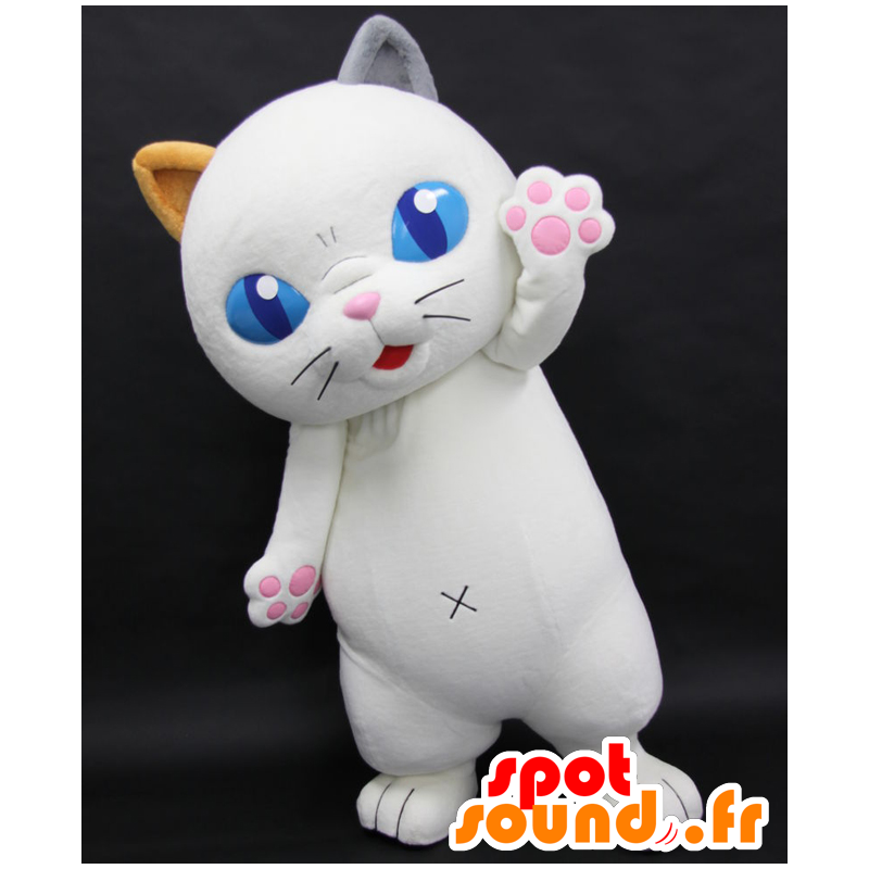 Mascot Tama Yoshiko, white cat with blue eyes - MASFR27061 - Yuru-Chara Japanese mascots