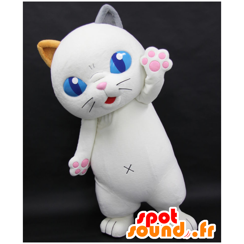 Mascotte de Tama Yoshiko, chat blanc avec de grands yeux bleus - MASFR27061 - Mascottes Yuru-Chara Japonaises