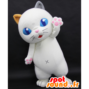 Mascot Tama Yoshiko, white cat with blue eyes - MASFR27061 - Yuru-Chara Japanese mascots