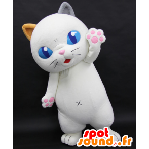 Tama Yoshiko maskot, vit katt med stora blå ögon - Spotsound