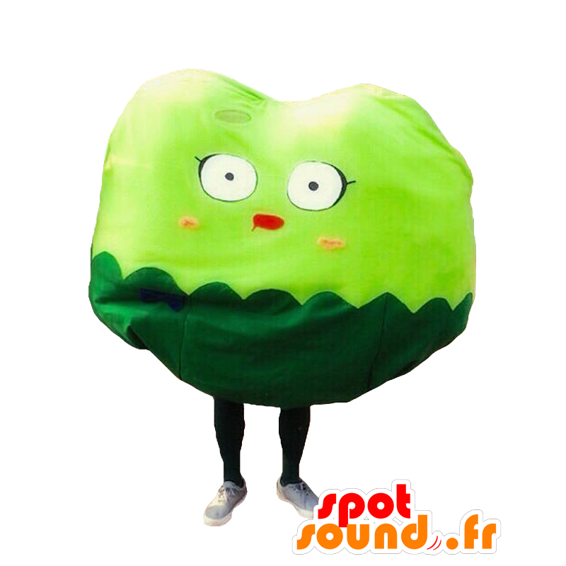 Mascota de Tamayo, gigante y la diversión de dos tonos vegetal verde - MASFR27108 - Yuru-Chara mascotas japonesas