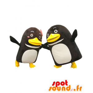 Mascots pen-kun and Penco, 2 black and white penguins - MASFR27109 - Yuru-Chara Japanese mascots