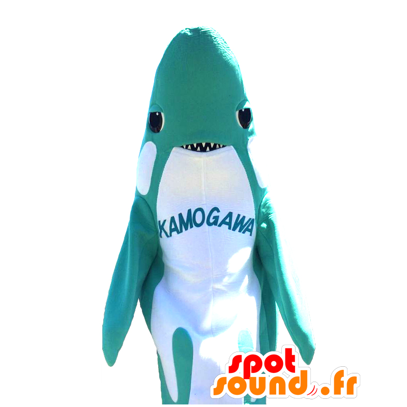 Shachikofu mascot, impressive blue and white shark - MASFR27132 - Yuru-Chara Japanese mascots