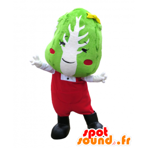 Foil-chan mascotte, groen en wit Chinese kool gekleed in het rood - MASFR27141 - Yuru-Chara Japanse Mascottes