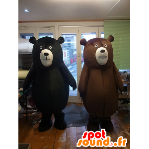 Mascots Cohen bear, black bear and brown bear a - MASFR27253 - Yuru-Chara Japanese mascots