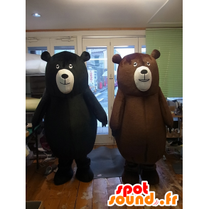 Mascotte Cohen orso, orso nero e un orso bruno - MASFR27253 - Yuru-Chara mascotte giapponese