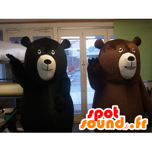 Cohen bär maskotar, en svart björn och en brun björn -