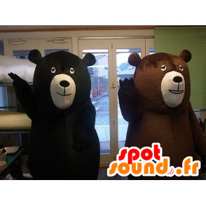 Mascotes Cohen, urso preto e um urso marrom - MASFR27253 - Yuru-Chara Mascotes japoneses