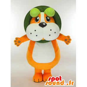 Zhi Noda ChaTaro maskot, orange og hvid hund med en skål -