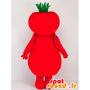 Tomapin mascot, red and green tomatoes, giant - MASFR27393 - Yuru-Chara Japanese mascots