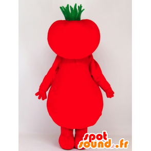 Mascota Tomapin, rojo y tomate verde, gigante - MASFR27393 - Yuru-Chara mascotas japonesas