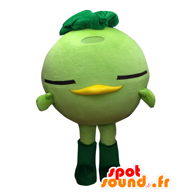 Mascot Akapakkun, vihreä ja keltainen lintu, pallomainen - MASFR27550 - Mascottes Yuru-Chara Japonaises