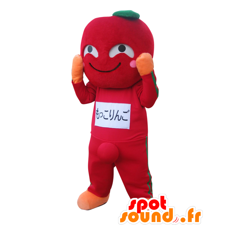 ゆるキャラマスコット日本人 の マスコットmokkoringo トマトの赤 ラウンド 巨人と笑顔 色変更 変化なし 切る L 180 190センチ 撮影に最適 番号 服とは 写真にある場合 番号 付属品 番号