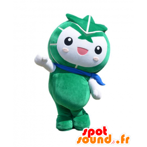 Mascot Hinumaru-kun. Green monster mascot - MASFR27625 - Yuru-Chara Japanese mascots