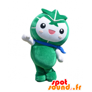 Mascotte Hinumaru-kun. Verde mostro mascotte - MASFR27625 - Yuru-Chara mascotte giapponese