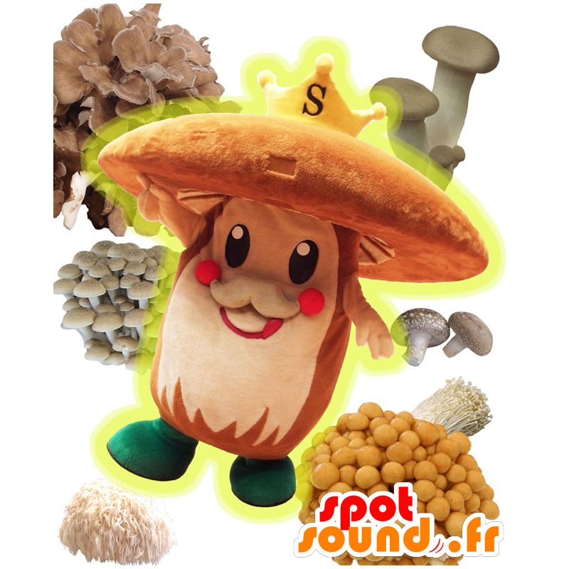 Suckee Maskottchen. Brown mushroom Maskottchen und eine Krone - MASFR27707 - Yuru-Chara japanischen Maskottchen