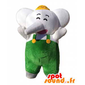 Elefanten Maskottchen-Kun. Grauer Elefant Maskottchen Overalls - MASFR27711 - Yuru-Chara japanischen Maskottchen