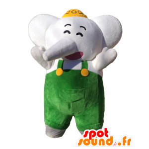 Elephants mascot-Kun. Gray elephant mascot overalls - MASFR27711 - Yuru-Chara Japanese mascots