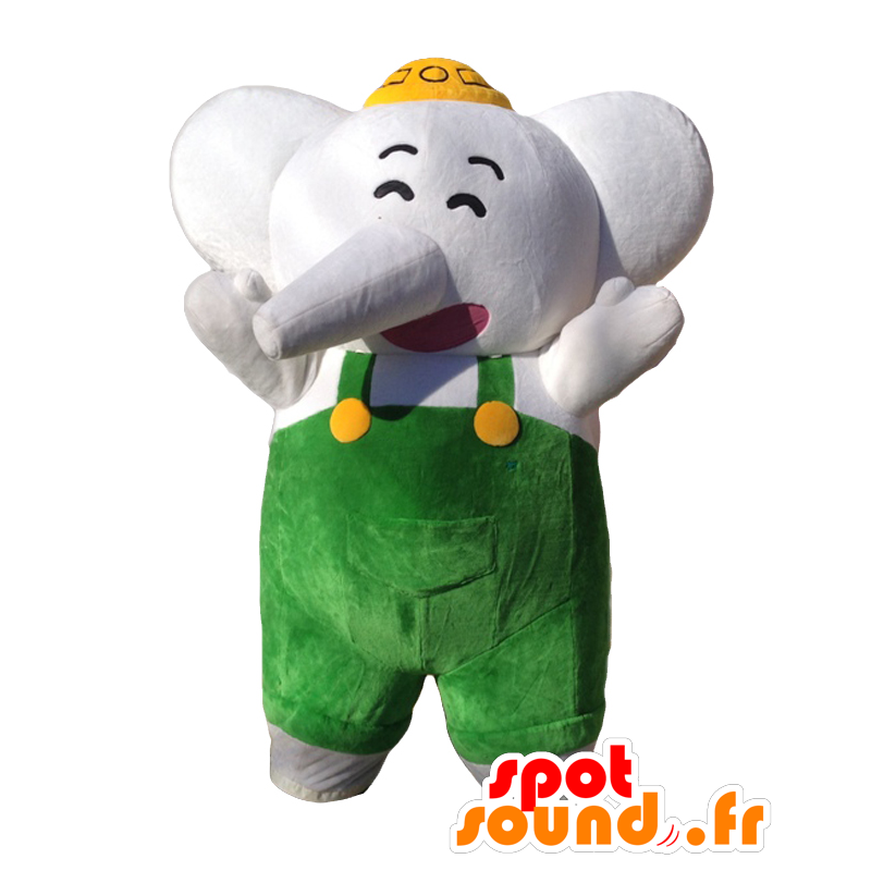 Mascote Elefante-Kun. macacão mascote cinza elefante - MASFR27711 - Yuru-Chara Mascotes japoneses Mascote Elefante-Kun. macacão mascote cinza elefante - MASFR27711 - Yuru-Chara Mascotes japoneses