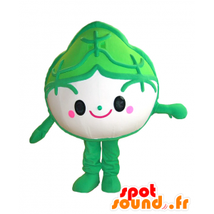Mascot Ogulin. Mascot green artichoke, cabbage - MASFR27841 - Yuru-Chara Japanese mascots