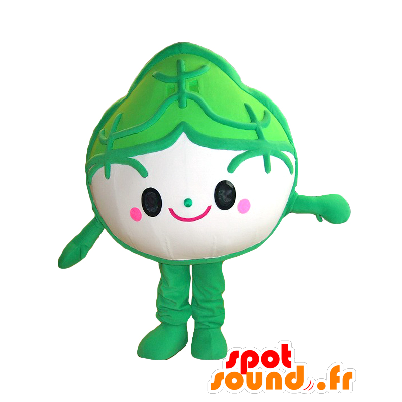 Mascot Ogulin. Maskottchen grüne Artischocken, Kohl - MASFR27841 - Yuru-Chara japanischen Maskottchen