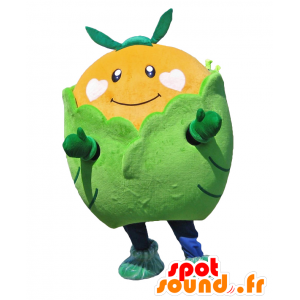 Mascota Sakabe, rodeado de una lechuga mandarina gigante - MASFR27918 - Yuru-Chara mascotas japonesas