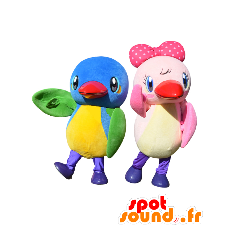 ムーちゃんとサッチャンのマスコット、2羽のとてもカラフルな鳥-MASFR27996-日本のゆるキャラのマスコット ムーちゃんとサッチャンのマスコット、2羽のとてもカラフルな鳥-MASFR27996-日本のゆるキャラのマスコット