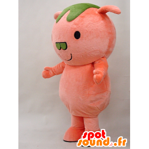 Pinton mascot. Pink and green pig mascot - MASFR28275 - Yuru-Chara Japanese mascots