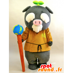 Ecoton Maskottchen. Alter Mann-Maskottchen grauen Guss - MASFR28436 - Yuru-Chara japanischen Maskottchen