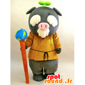 Mascotte de Ecoton. Mascotte de vieil homme, de cochon gris - MASFR28436 - Mascottes Yuru-Chara Japonaises