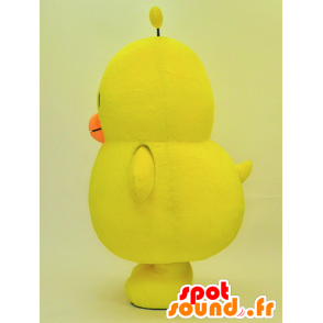 Big yellow chick mascot, very cute - MASFR28461 - Yuru-Chara Japanese mascots