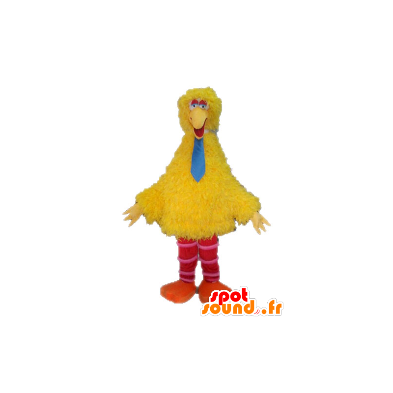 Big mascotte Uccello, famoso uccello giallo da Sesame Street - MASFR028521 - Famosi personaggi mascotte