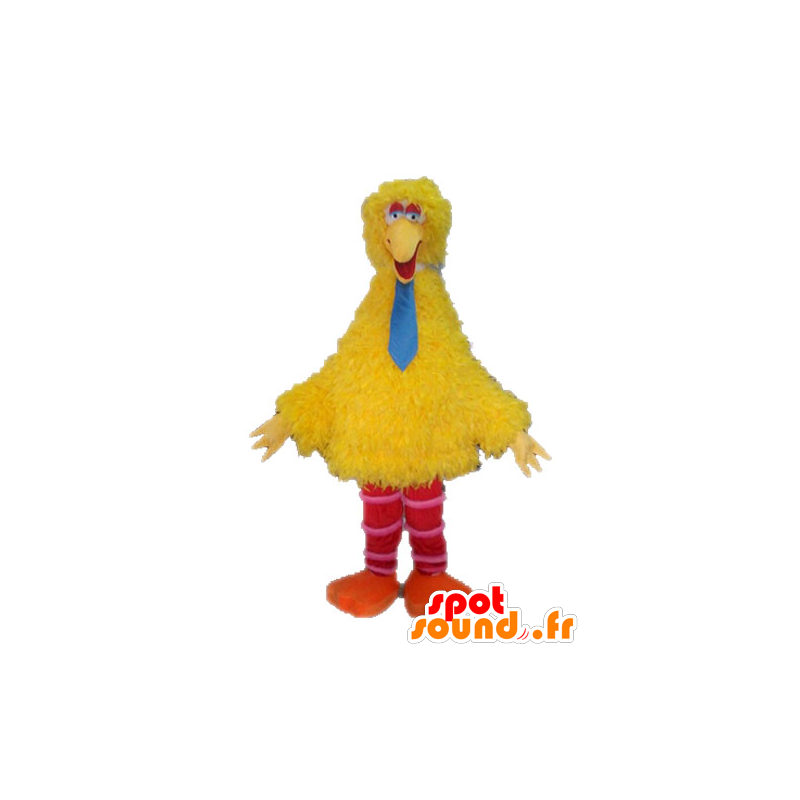 La mascota del pájaro grande, famoso pájaro amarillo de Plaza Sésamo - MASFR028521 - Personajes famosos de mascotas