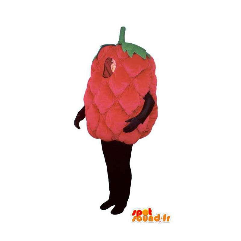 Kæmpe hindbær kostume. Hindbær kostume - Spotsound maskot