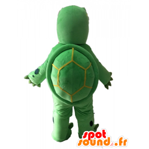 Zielony żółw gigant maskotka i beż - MASFR028529 - Turtle Maskotki