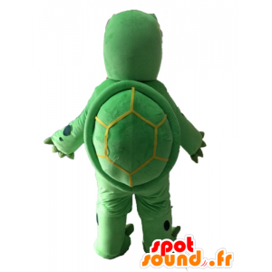 Πράσινη μασκότ χελώνα και γιγαντιαία μπεζ - MASFR028529 - χελώνα Μασκότ