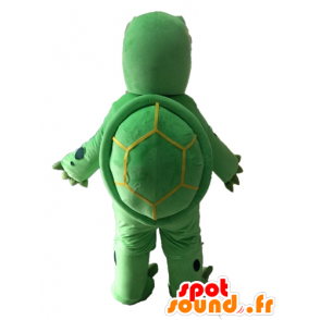 Green Turtle mascotte en gigantische beige - MASFR028529 - Turtle Mascottes