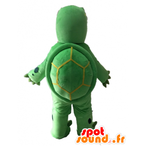 Jättegrön och beige masksköldpadda - Spotsound maskot