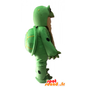 Mascota de la tortuga verde y beige gigante - MASFR028529 - Tortuga de mascotas