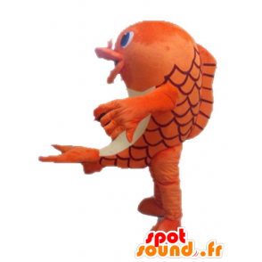 Arancio e bianco mascotte pesce. Dolphin mascotte - MASFR028538 - Delfino mascotte