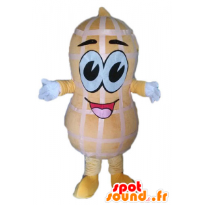 Mascot gigantisk peanøtt. peanut Mascot - MASFR028544 - Fast Food Maskoter
